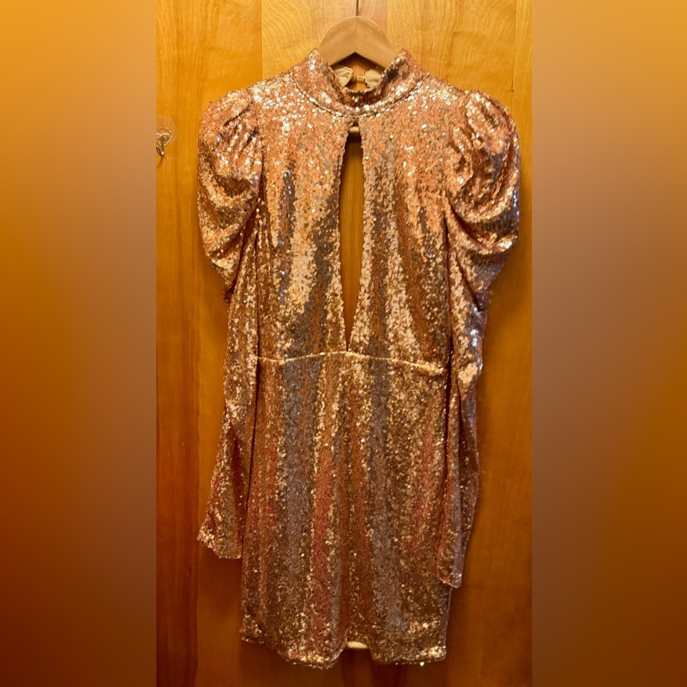 Elegant Sequence Mini Dress w/ Juliet Sleeves Size Small NWT
